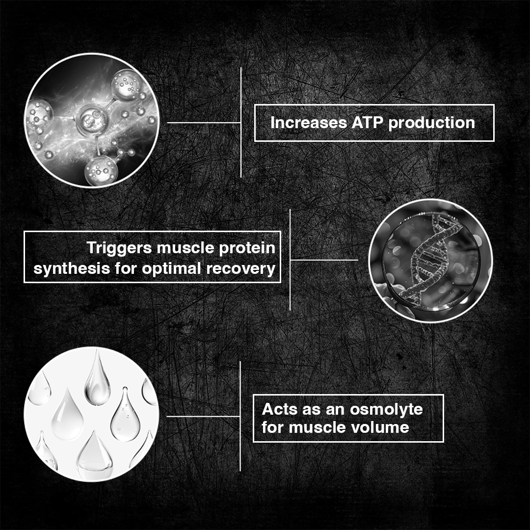 125g5_63e781be-9a0a-47f6-b017-ef760259b17d