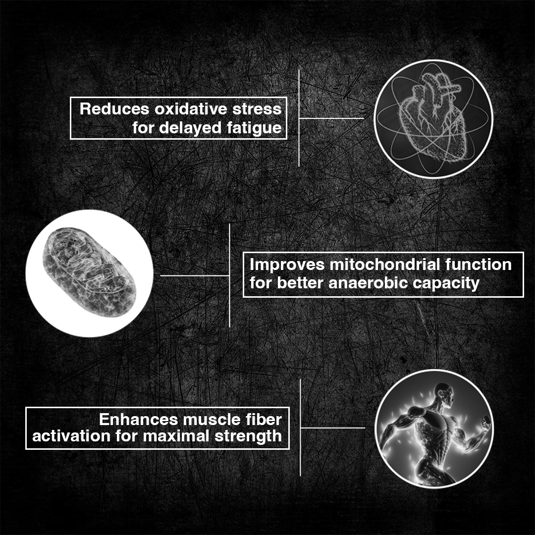 125g5copy_a4032d83-fc60-41d3-a353-a49be83c3c94