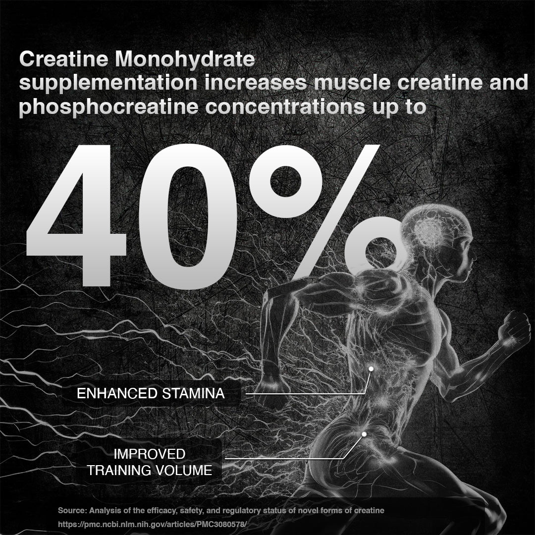 319g2_cb77c6c2-ac86-4be2-85d0-7ad9ca08ca59