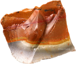 7eed701847f23972ef6db8f601aa340d-1759080778.png